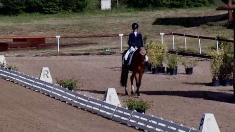 Jezdectví - Mezinárodní závody v drezuře CDI-W