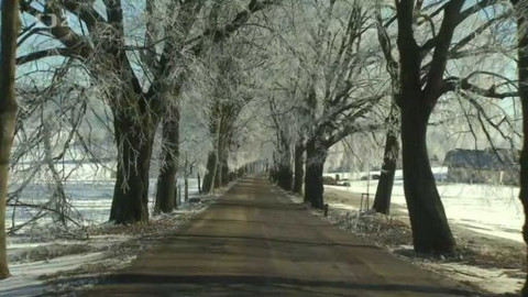 Nedej se! - Okrašlujme!