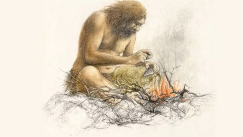 Týden v regionech (Brno) - 28. listopadu 2020