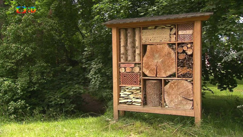 Tamtam - 15. června 2019