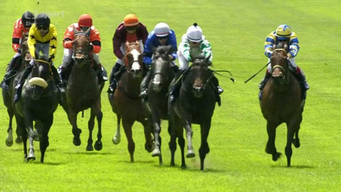 Dostihy - 99. Velká jarní cena a 71. Velká květnová cena