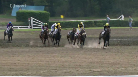 Turf - 26. srpna 2015