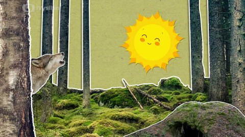 To je něco! - Proč vlci vyjí na měsíc?