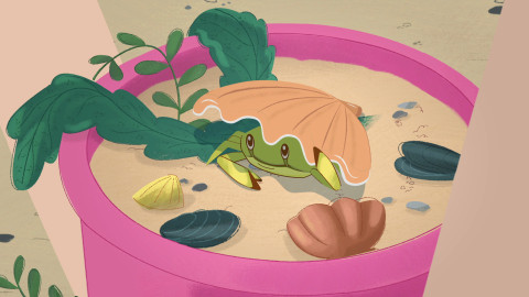 Andulka šikulka - 27/52 Krab