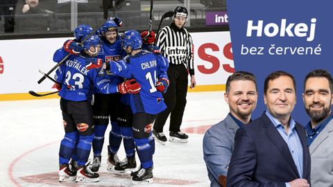 Hokej bez červené - Kteří hráči musí zabojovat o olympijskou nominaci?