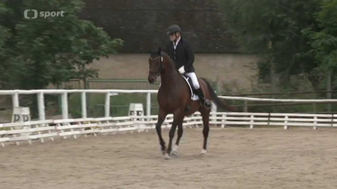 Jezdectví - M ČR v paradrezuře