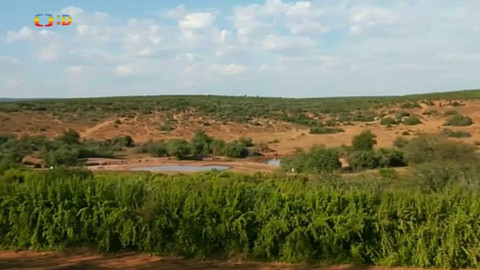 Zprávičky - 15. května 2018