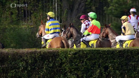 Velká pardubická - historie - 2014