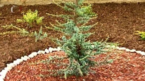 Zahrada je hra - 26. června 2008