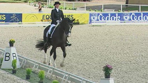 Jezdectví - Finále KMK - drezura