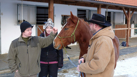 Malá farma - Tah koněm