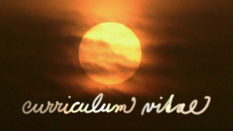 Curriculum vitae