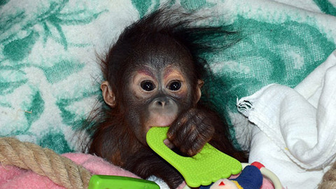 Máte mě! - 24. června 2012