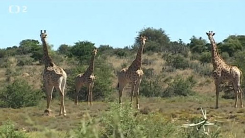 Tisíc let české myslivosti - 9. listopadu 2013