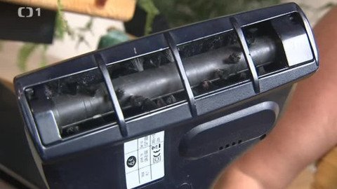 Černé ovce - 16. září 2013