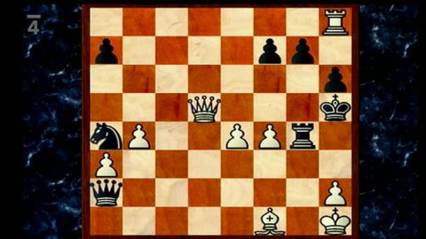 V šachu - 5. srpna 2011