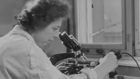 Boj ještě nekončí