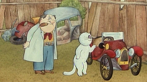 Pestrý život jedné kočky - Kočka se ztratila