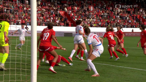 Fotbal - Švýcarsko - Česko