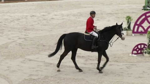 Jezdectví - Jarní cena Velké Chuchle