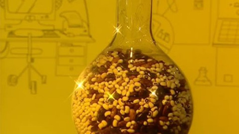 Pod pokličkou - Čočka, hrách a fazole nesmí chybět na stole