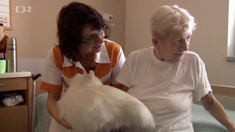 Ochránce - 3. dubna 2016