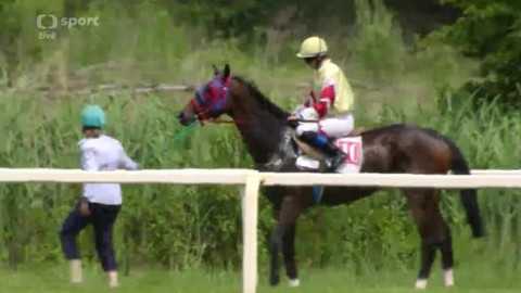 Jezdectví - Memoriál Evy Palyzové 2014 Lysá nad Labem