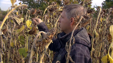 Nedej se! - Zrod farmáře