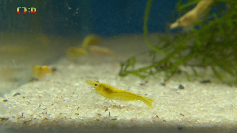 Terčin zvířecí svět - 27. května 2022