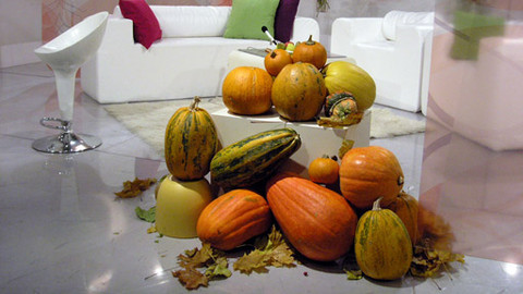 Sama doma - 1. listopadu 2012