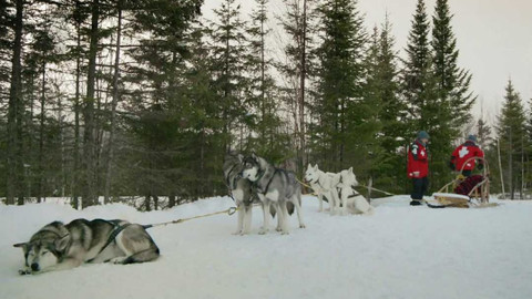 Kanadská soda - Epizoda 8/14