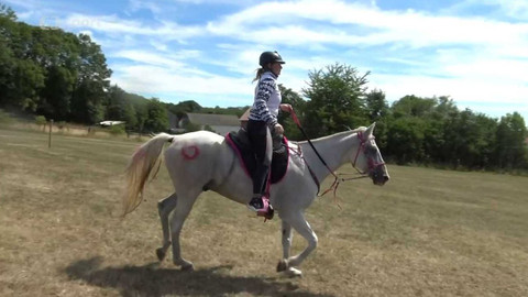 Jezdectví - M ČR ve vytrvalosti Slavošov