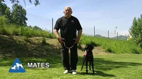 Chcete mě? - Chcete je?