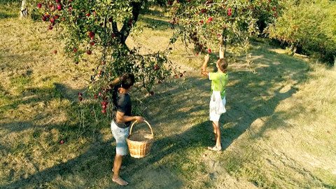 Hranice v srdci - 11/16 Karpatské sady