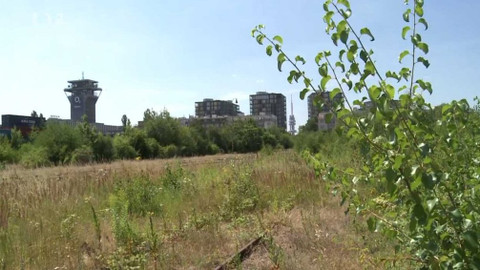 Nedej se! - Nákladové nádraží není developerovo