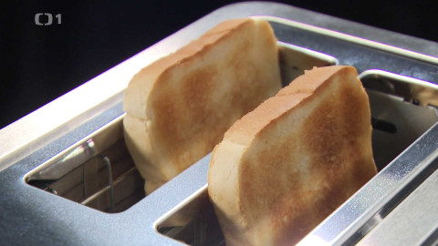 Černé ovce - 11. listopadu