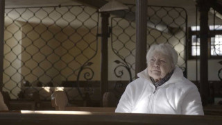 Nejhlubší odpuštění