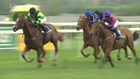 Turf - 30. dubna 2014