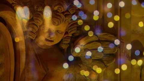 Koncert ze Senátu - Koncert ze Senátu