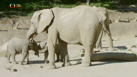 Zprávičky - 16. listopadu 2018