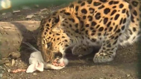 Přidej se - ZOO Praha II.