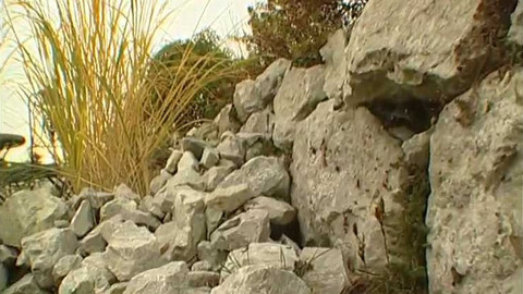 Zahrada je hra - 26. února 2006