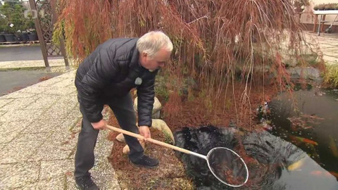 Hobby naší doby - 11. ledna 2020