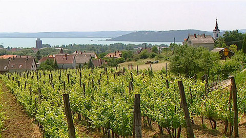 Putování za vínem - 11/16 Maďarsko II.