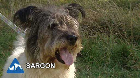 Chcete mě? - Chcete je?