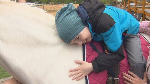 Chcete mě? - 21. května 2017