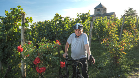 Vinorodé břehy - 2/7 Vinorodé břehy Rýna II