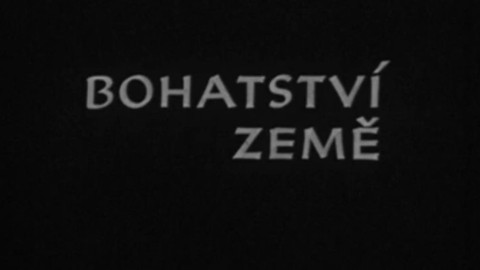 Bohatství země