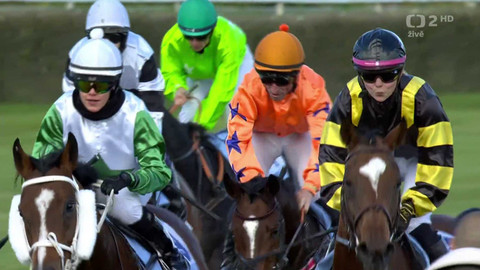 Dostihy - Cena zimního favorita