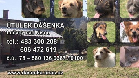 Chcete mě? - Chcete je?